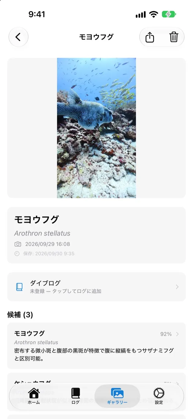 識別したモヨウフグの詳細。和名・学名と候補の信頼度